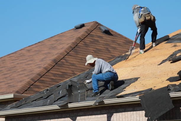 Best Roof Insulation Installation  in Lithonia, GA